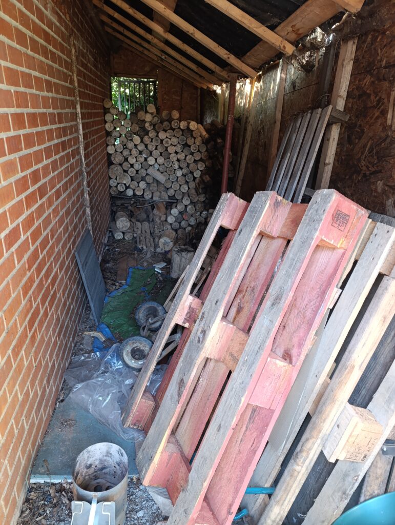 Zone à risque de rats dans un jardin à Bruxelles : abri à bois et palettes Abri à bois et palettes adossé à un garage dans un jardin bruxellois, zone à risque pour la présence de rats.